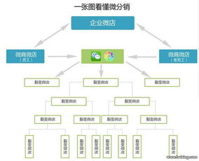 蝦米盒子軟件系統開發與技術服務詳解